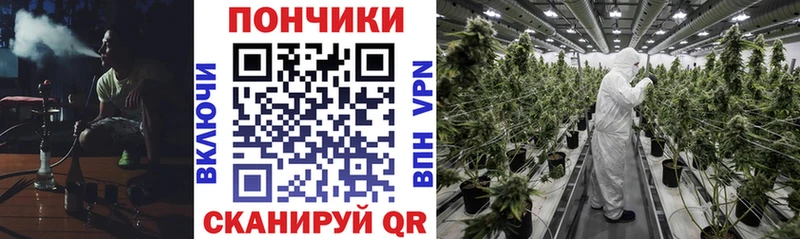 Купить  Пыталово  Шишки марихуана планчик 